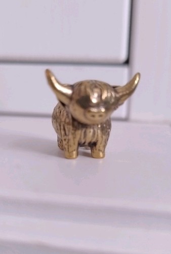Cute small highland cow - cow, solid